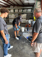 Training Image